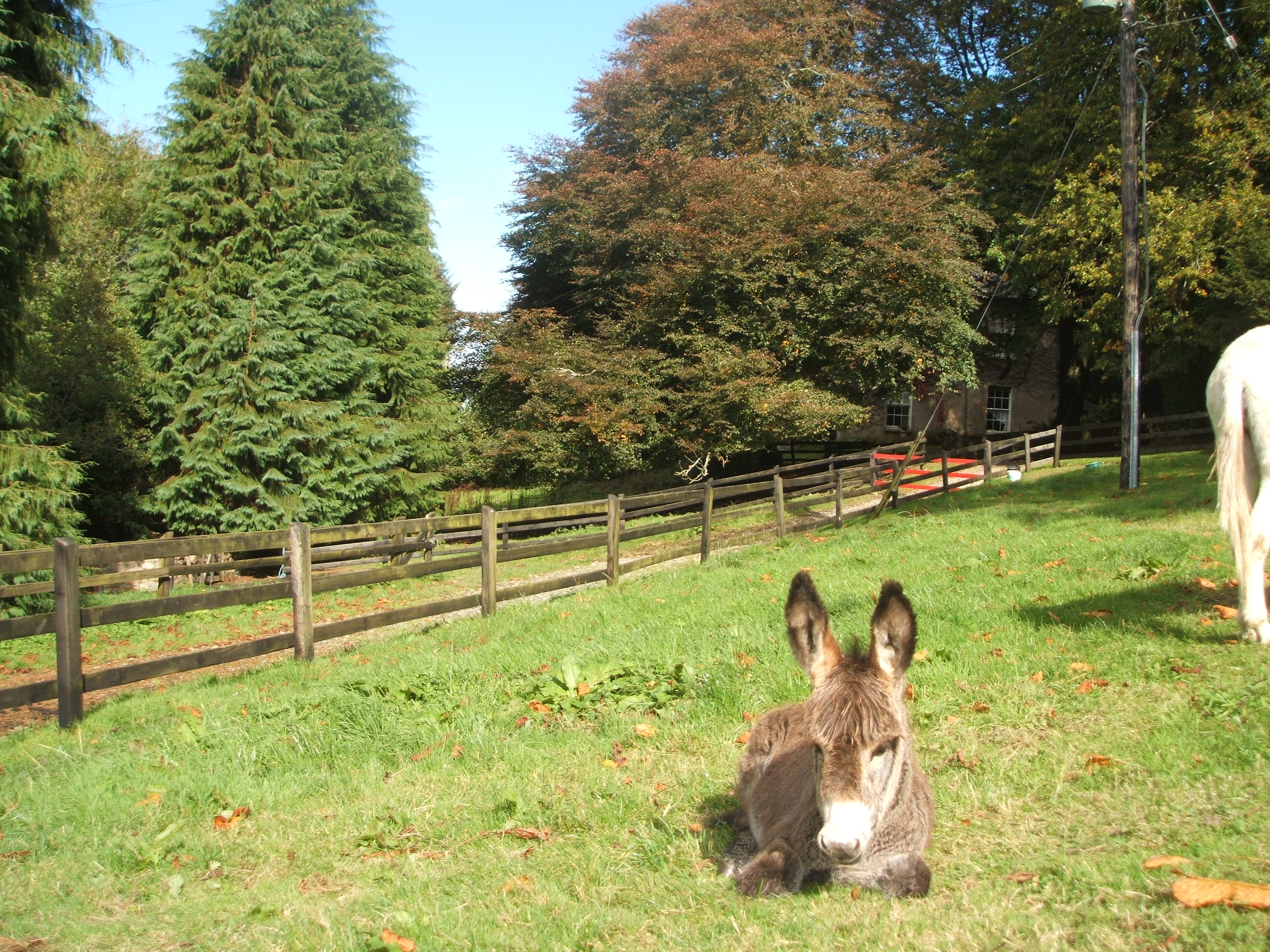 Cottages and outside views 005.jpg